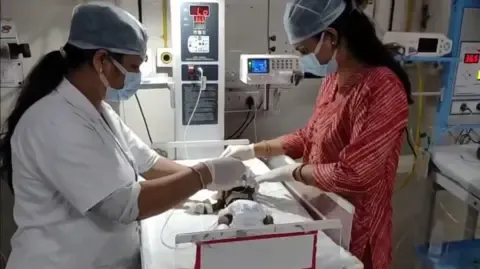 Newborn Placed Living in India Fights for Existence